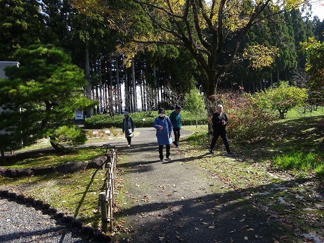 DSC02708.jpg