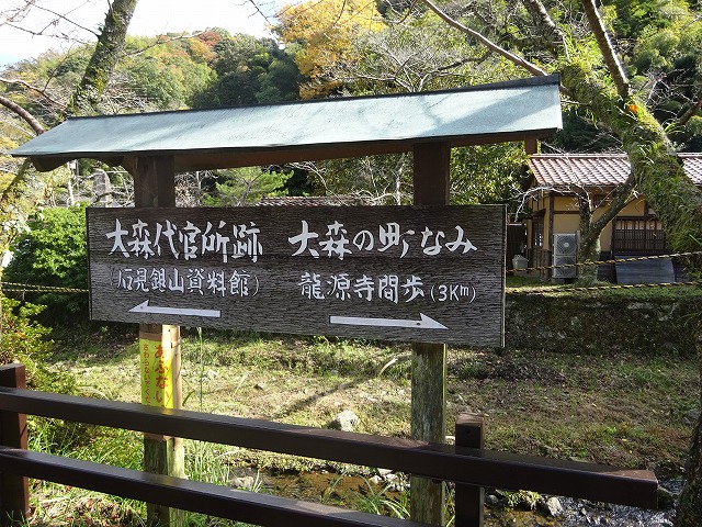 DSC02745.jpg