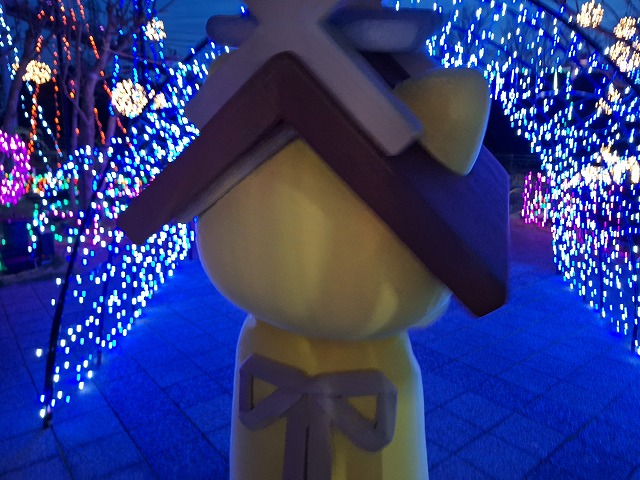 20251210_172231.jpg