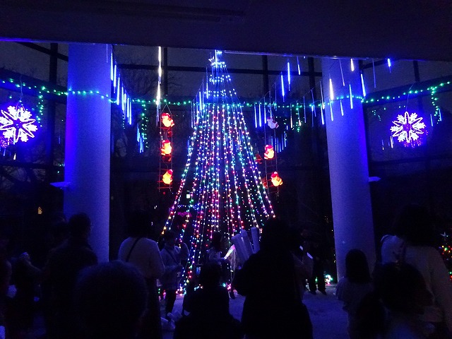 DSC03068.jpg