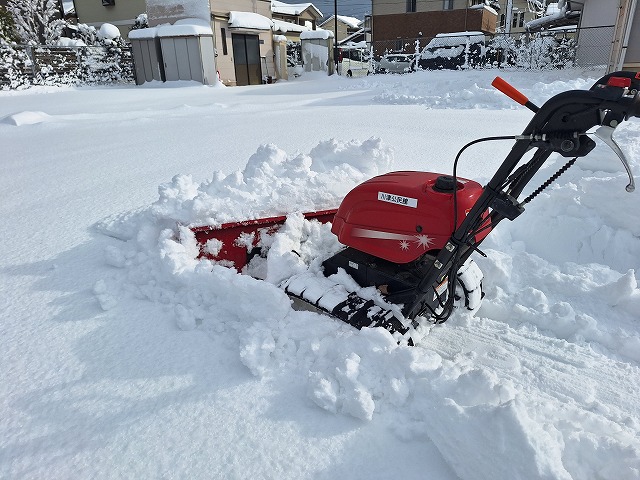 20260209_092603.jpg