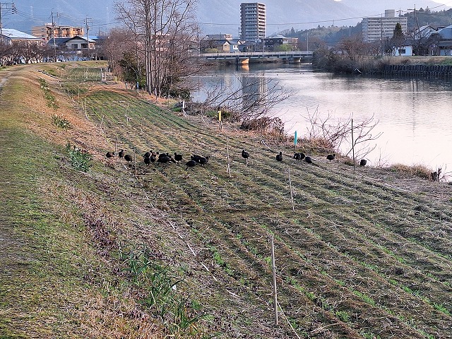 20260321_064405.jpg