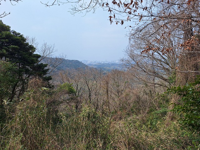 20260329_101126.jpg