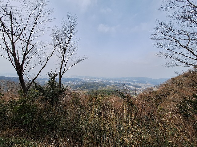 20260329_102522.jpg