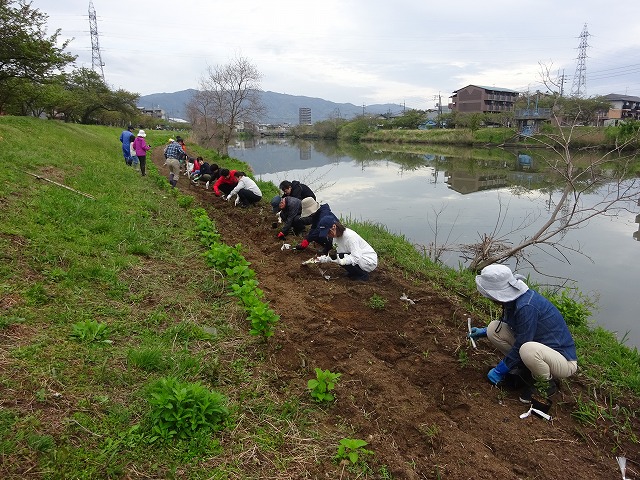 DSC03512.jpg