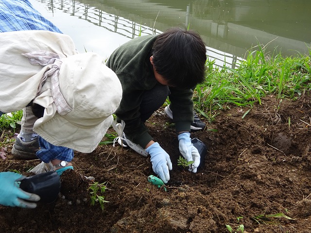 DSC03518.jpg