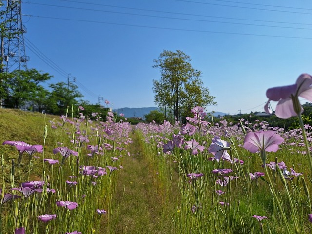 20260516_082809.jpg