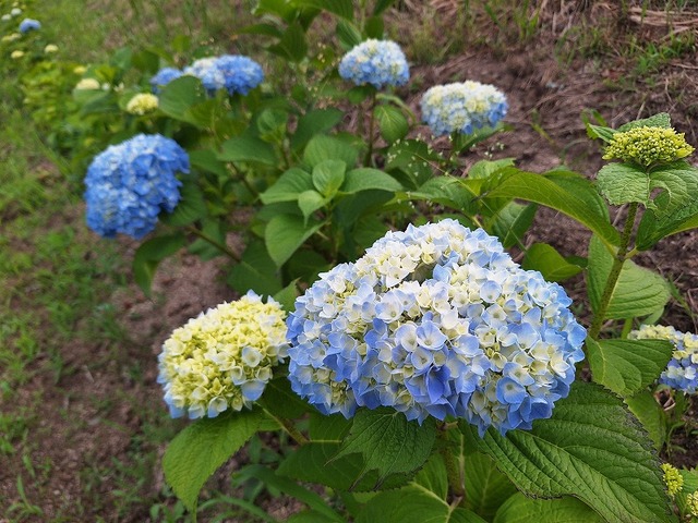 20260526_180028.jpg