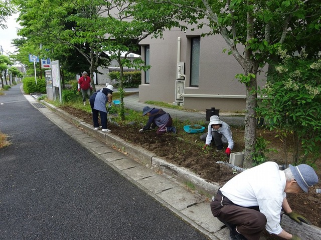 DSC03765.jpg