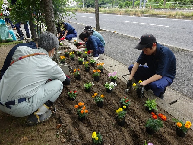 DSC03775.jpg