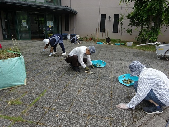 DSC03784.jpg