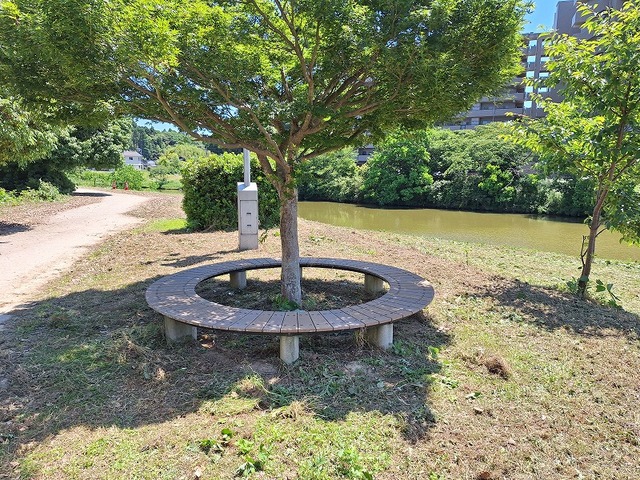 20260613_104743.jpg