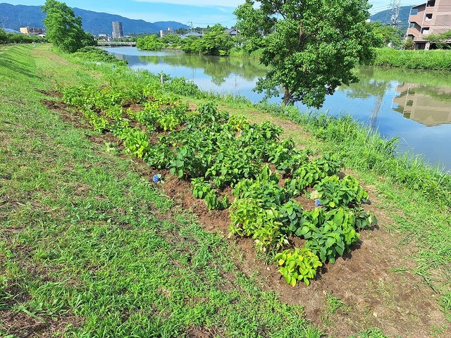 20260703_153243.jpg