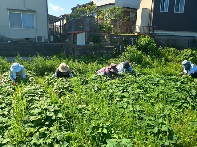 IMG_20260709_090616555_HDR.jpg