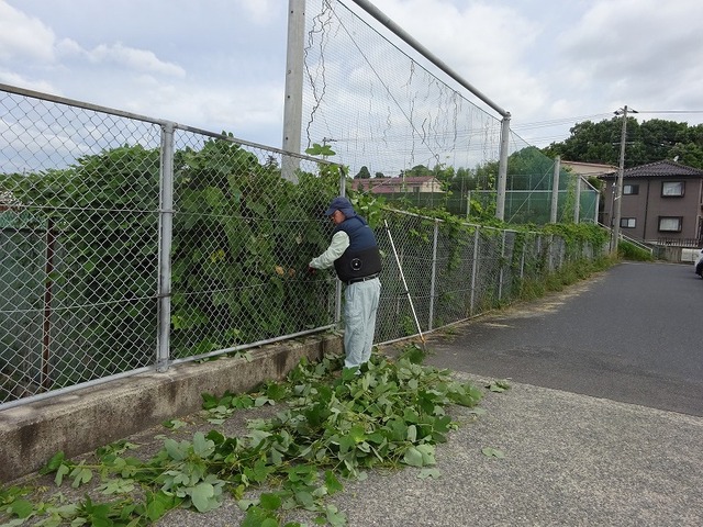 DSC03939.jpg