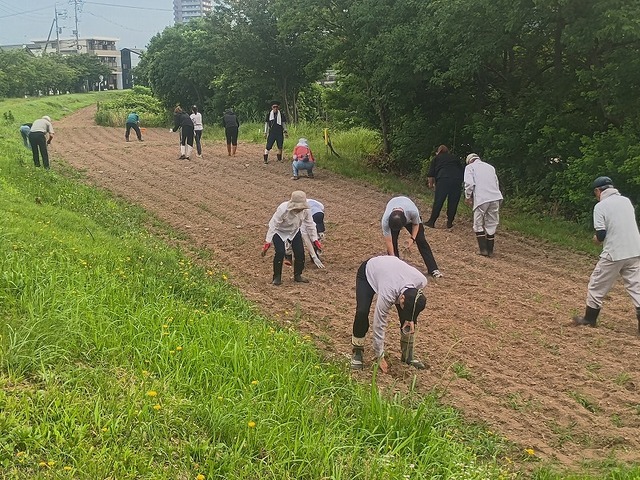 IMG_20260718_070824562.jpg