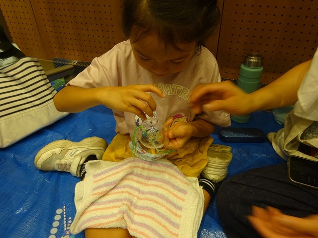 DSC03970.jpg