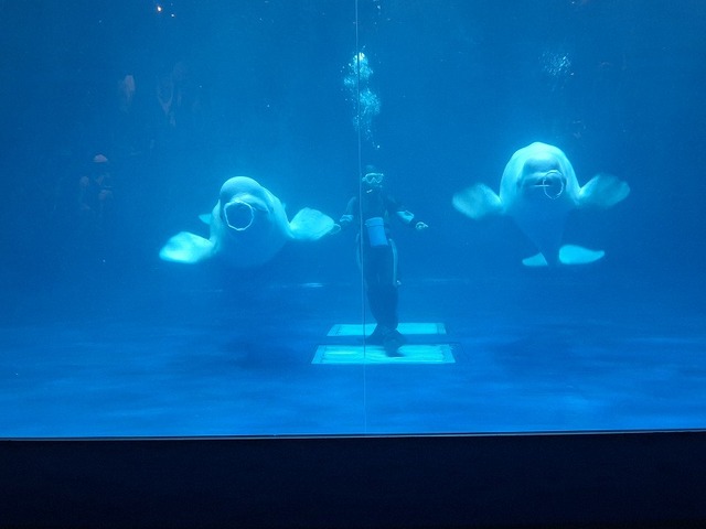 20260731_133656.jpg