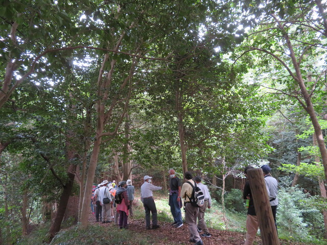 田和山の森散策