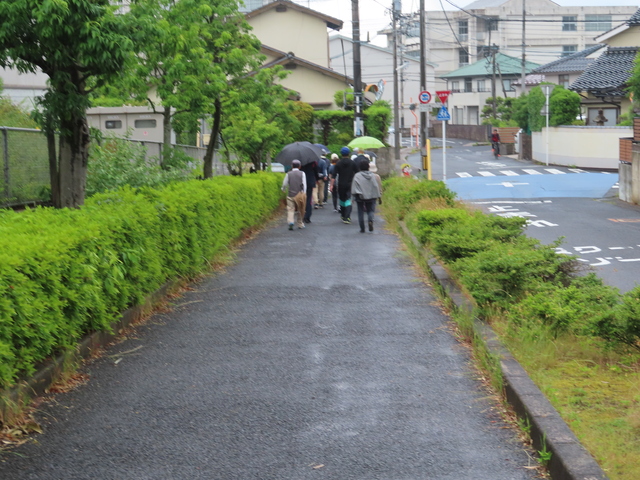 IMG_7796.JPG