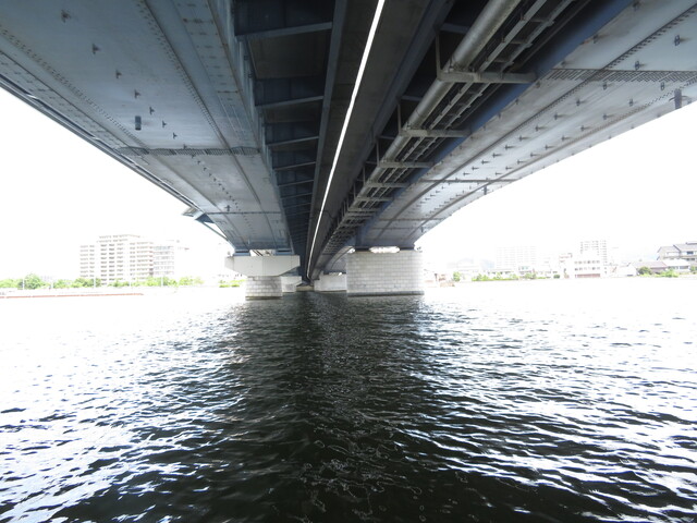 IMG_8557.JPG