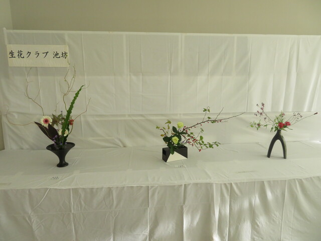 IMG_9773.JPG