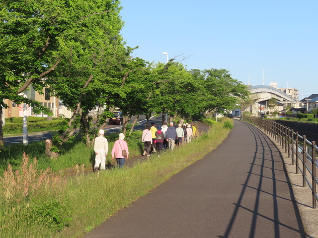 山居川沿い.JPG