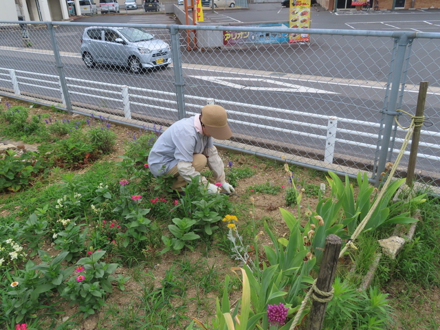 作業1.JPG