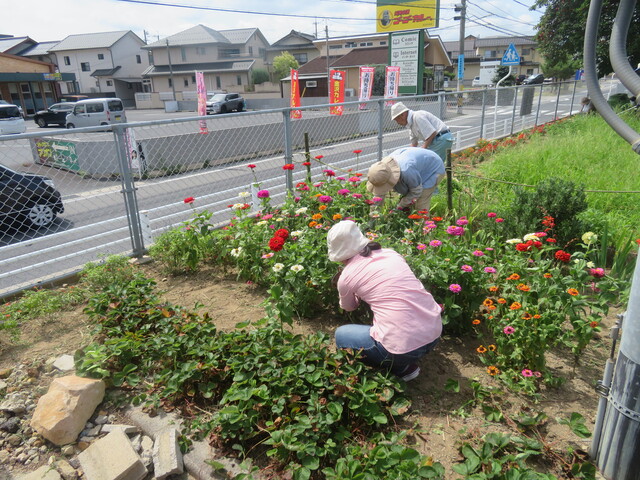 花1.JPG