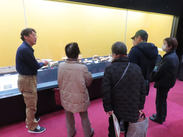 2.20 風土記の丘企画展見学「風土記の丘の弥生人」 (13).JPG