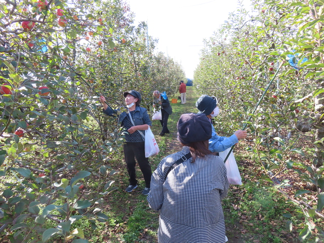 10.30 交流視察研修 (37).JPG