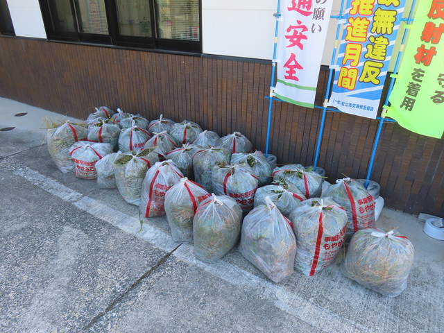 6.10 作業中 (19).JPG