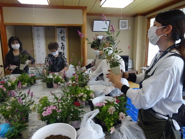 DSC07250.JPG