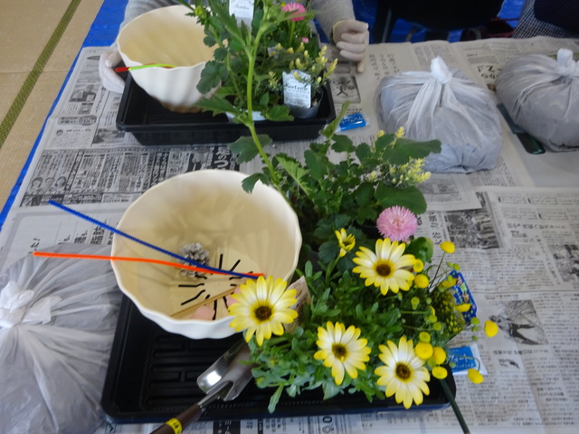 DSC08676.JPG