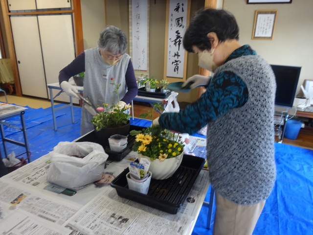 DSC08683.JPG