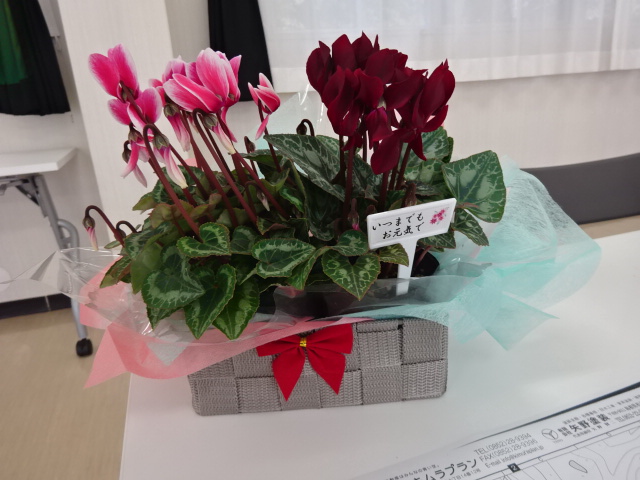 DSC02650.JPG