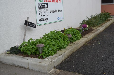 002.jpg