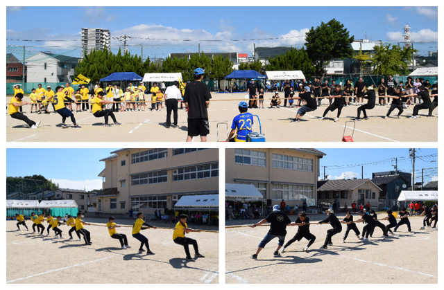 20251012-012.jpg 20251012-012.jpg