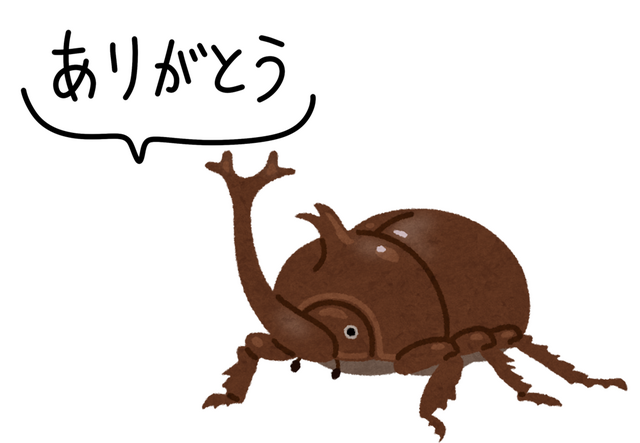 www-ka.png