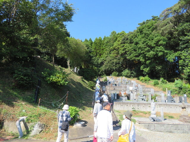 裏山への階段