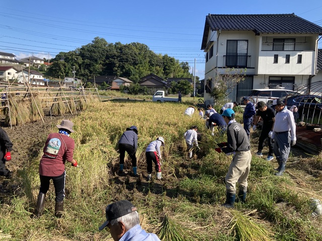 IMG_4542.jpg IMG_4542.jpg