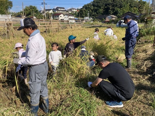 IMG_4543.jpg IMG_4543.jpg