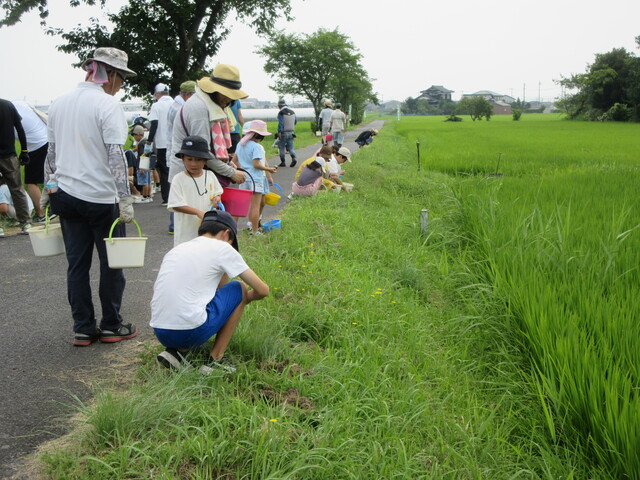 IMG_3220.JPG