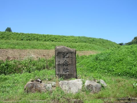 IMG_8477.JPG