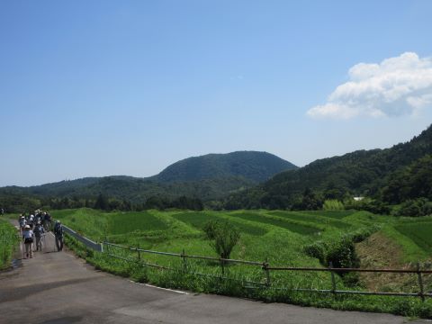 IMG_8480.JPG