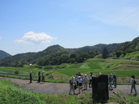 IMG_8482.JPG